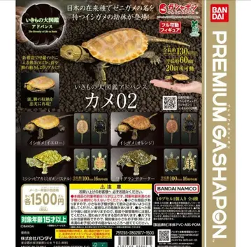 생물대도감 어드밴스 거북02 컴플리트 세트