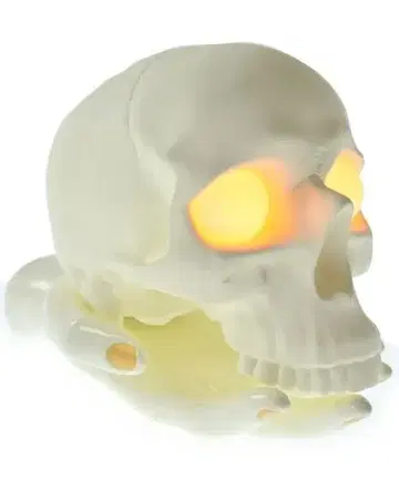 언더커버 잡화 ( 기타 ) 남성용