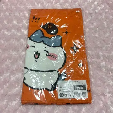 치이카와 요미우리 자이언츠