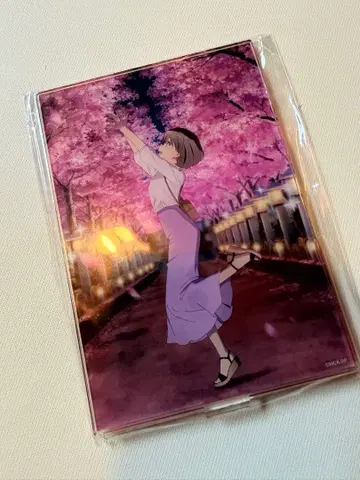 청춘 돼지 야로 청춘 돼지전 아크릴 스탠드 아즈사가와 카에데