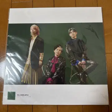 Mr. GREEN APPLE LP 사이즈 사진 포스터