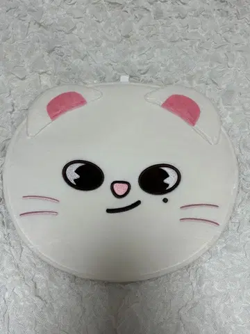 straykids 현진 부채 케이스