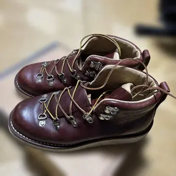 Danner 브라운 부츠