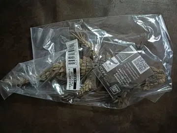 생물대도감 어드밴스 아르마딜로 도마뱀 모자이크 온라인판