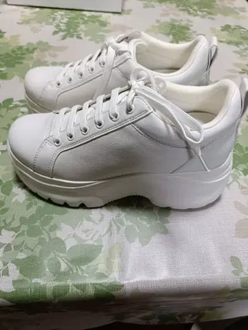 스즈키 아미 씨 프로듀스 통굽 스니커즈 L 사이즈 미사용 새상품