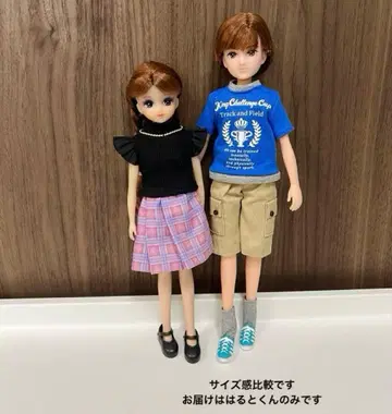 [ 리카짱 ] 보이프렌드 하루토 군 결품 없음 인형