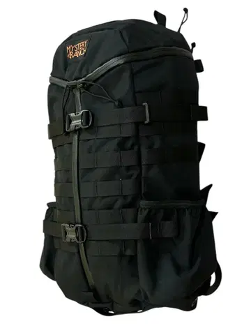Mystery Ranch 2 Day Assault backpack