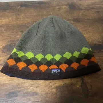 patagonia 비니