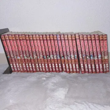 FAIRYTAIL 페어리 테일 묶음 판매 마시마 히로 코믹스 전권 아님