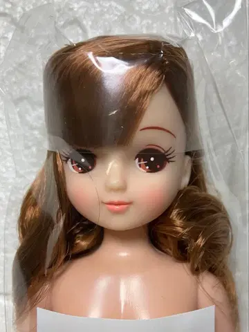 리카짱 캐슬 오타노시미 인형 키라짱 즐거운 인형