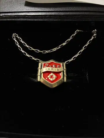 프리미엄 반다이 가정교사 히트맨 REBORN! 바리아 반지 11호