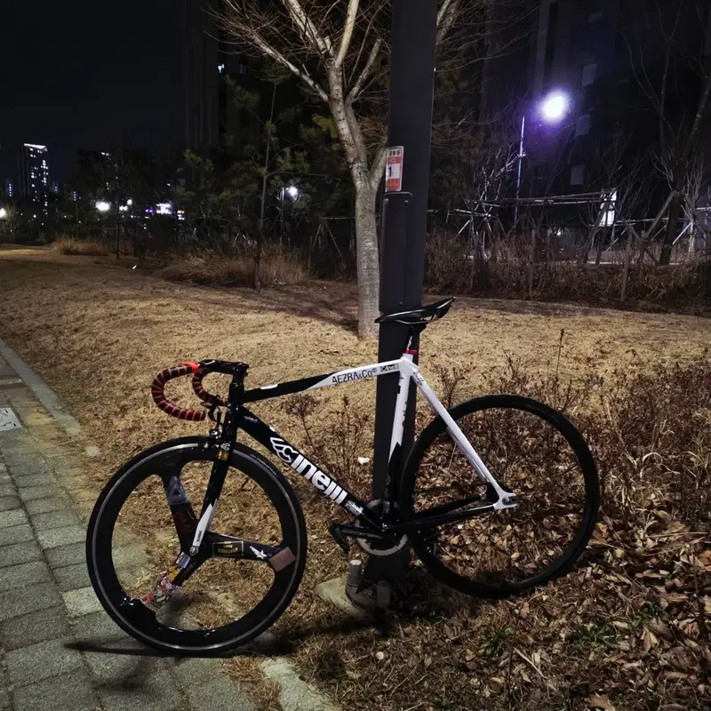 치넬리 히스토그램