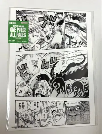 원피스 베이스샵 원화 올 페이지 니카 루피 보니