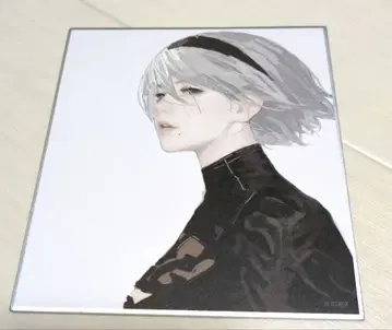 NieR 니어 지울 수 없는 기억 색지