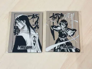 BLEACH 쿠치키 뱌쿠야 쿠치키 루키아 메탈릭 마그넷 컬렉션