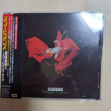 전갈단 폭발!! 스콜피온즈 라이브