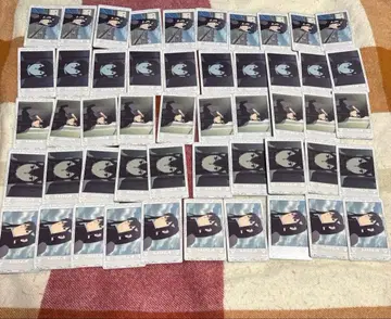 괴수 8호 스냅마이드 아시로 미나 묶음 판매