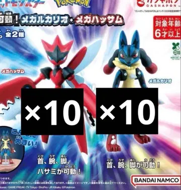 포켓몬스터 조립 가동! 메가 루카리오 메가 핫삼 포켓몬2