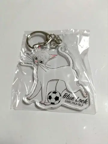 블루 록 고양이 디자인 아크릴 키링 나기 세이시로