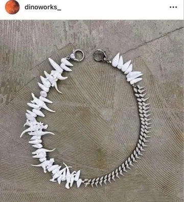 dinoworks 지갑 체인