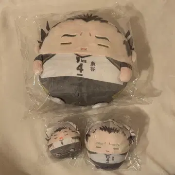 하이큐 보쿠토 3점 세트 누이복권 C상 D상 E상