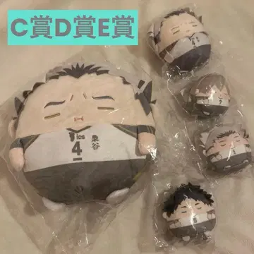 하이큐 5점 세트 누이 복권 보쿠토 코노하 아카아시