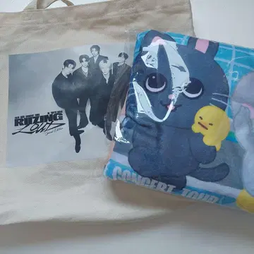 RIIZE 업그레이드 혜택 백&타월