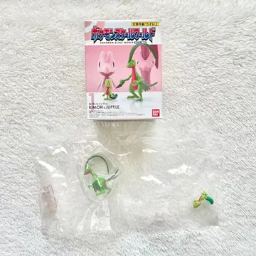 포켓몬 스케일 월드 호연지방 나무지기&나무토킹