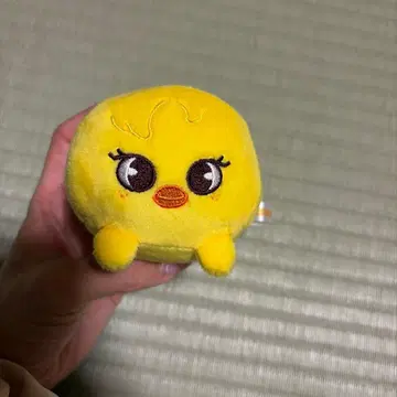 SKZOO 포갈리 봉제 인형 Felix 덤 포함