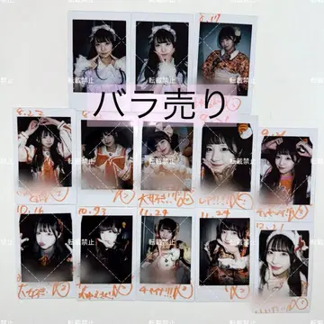 iLiFE! 코구마 마무 폴라로이드 낱개 판매