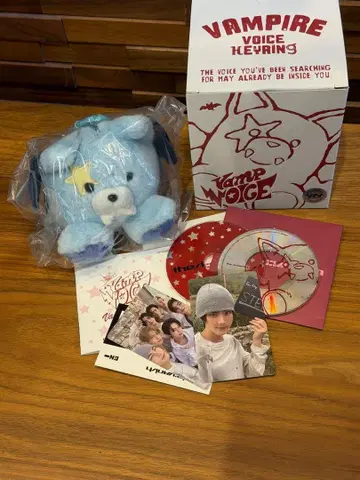 THE SIN : VANISH 보이스 키링 정원