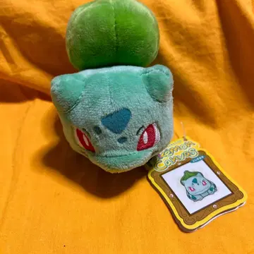 포켓몬 캔버스 봉제 인형 이상해씨