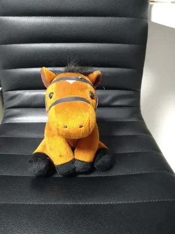 사토노 다이아몬드 아리마 기념 아이돌 호스