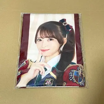 타카미네노 나데시코 히나타 히나 타월