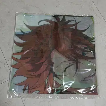 아마기 린네 9주년 시어 스톨 앙스타