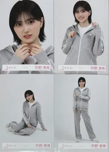 사쿠라자카 사쿠라자카46 브로마이드 저지 마토노 미오 컴프