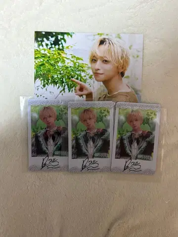 #러브시크 료 폴라로이드풍 트레이딩 카드