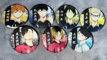 하이큐!! 캔뱃지