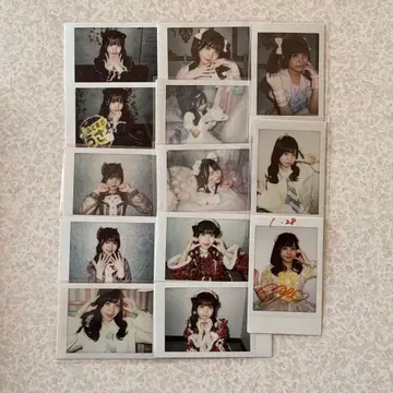 후쿠마루 우사 란체키