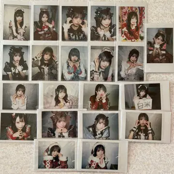 코코로하나 리리 란 폴라로이드