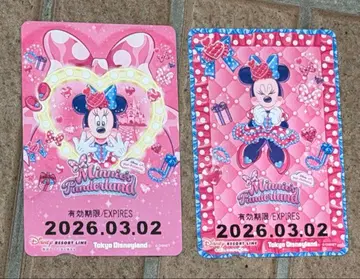 [ 기간 만료 컬렉션용 ] 미니의 날 디즈니 리조트 라인 프리 티켓