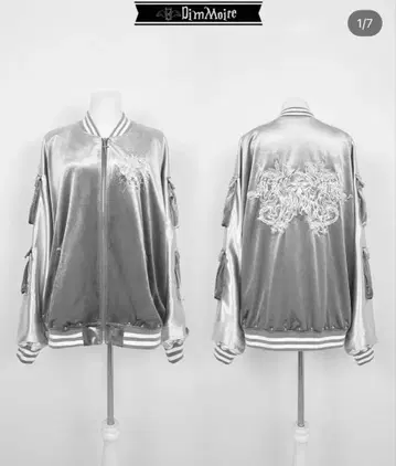 DimMoire MessyBones 벨로아 스카잔 Silver