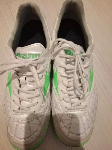 모렐리아 TF 27.5