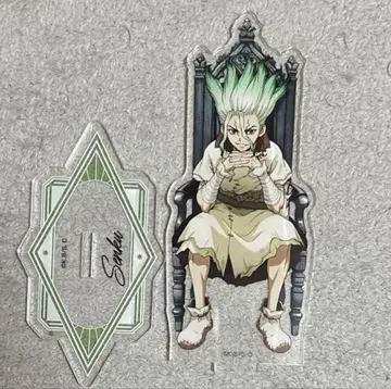 묶음 판매 가능 닥터 스톤 이시가미 센쿠 아크릴 스탠드