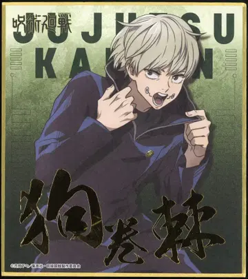 엔스카이 비주얼 색지 컬렉션 주술회전 이누마키 토게