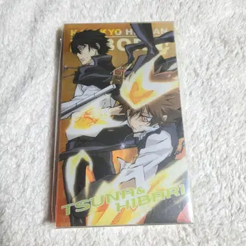 레어 가정교사 히트맨 REBORN 명함 폴더 사와다 츠나요시 히바리 쿄야