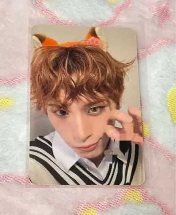 재고 라스트 XLOV MINIRECORD 하루 트레이딩 카드 닉