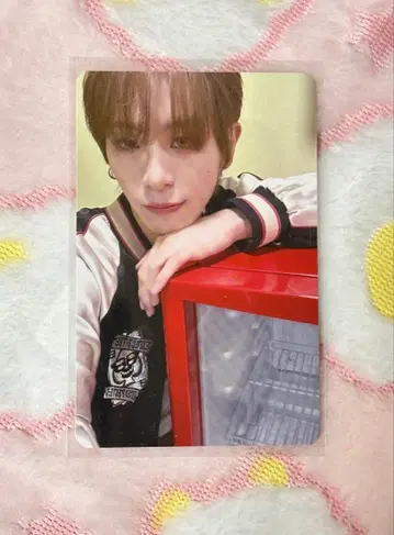 재고 라스트 XLOV RISINGSTAR 하루 트레이딩 카드