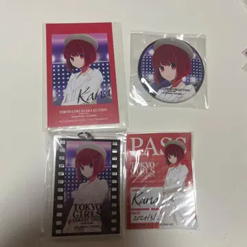 최애의 아이 TGC 아리마 카나 세트