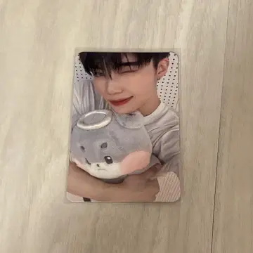 천사 제로니 박건욱 ZEROBASEONE 트레이딩 카드